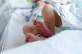 2025 онд төрсөн нийт хүүхдийн 48.3 хувь нь эмэгтэй